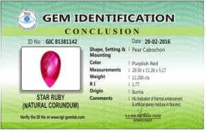 GIC 81381142