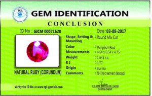 GICM 00071628