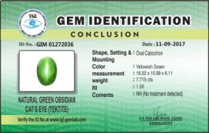 GIM 01272036
