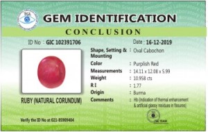 GIC 102391706
