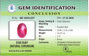 GIC 102411237